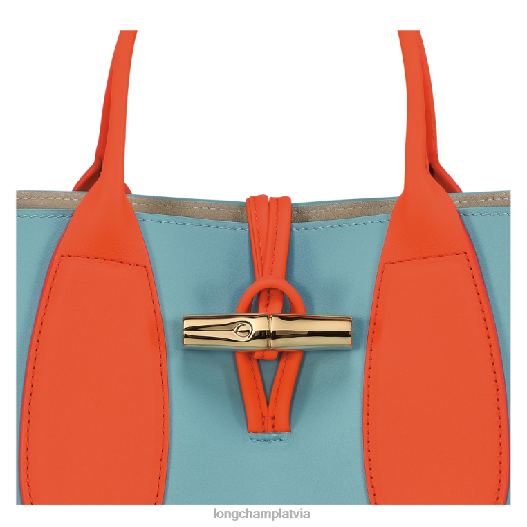 sievietes daudzkrāsains Longchamp roseau rokassomu somas 64NVH96